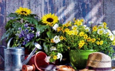 Marché aux fleurs 2023